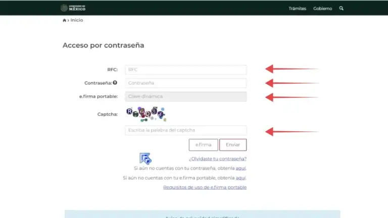 Introduce tu RFC y contraseña 