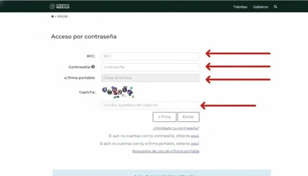 (RFC + contraseña o RFC + e.firma